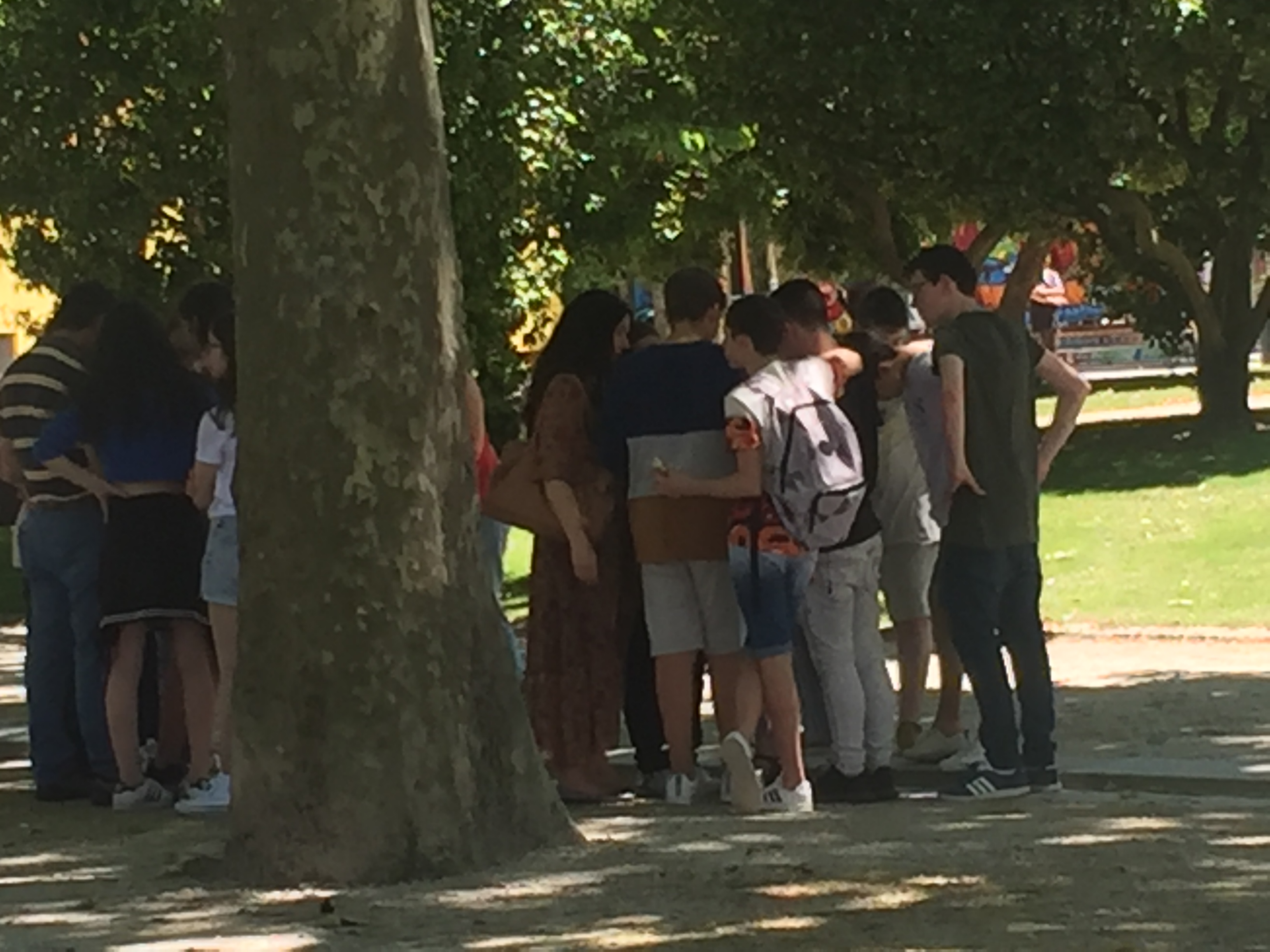 IMG-1531