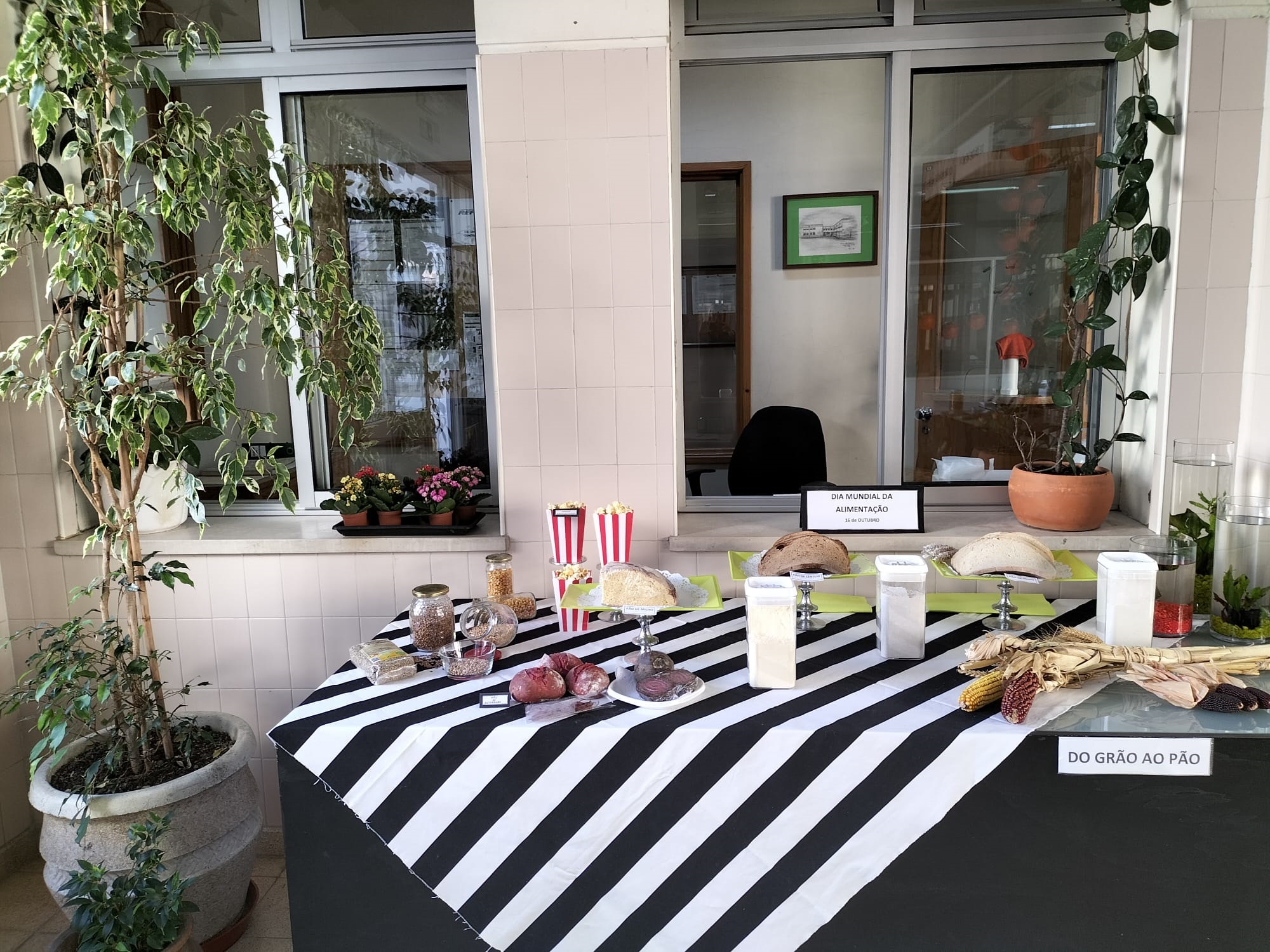 IMG-20211015-WA0002 (1)