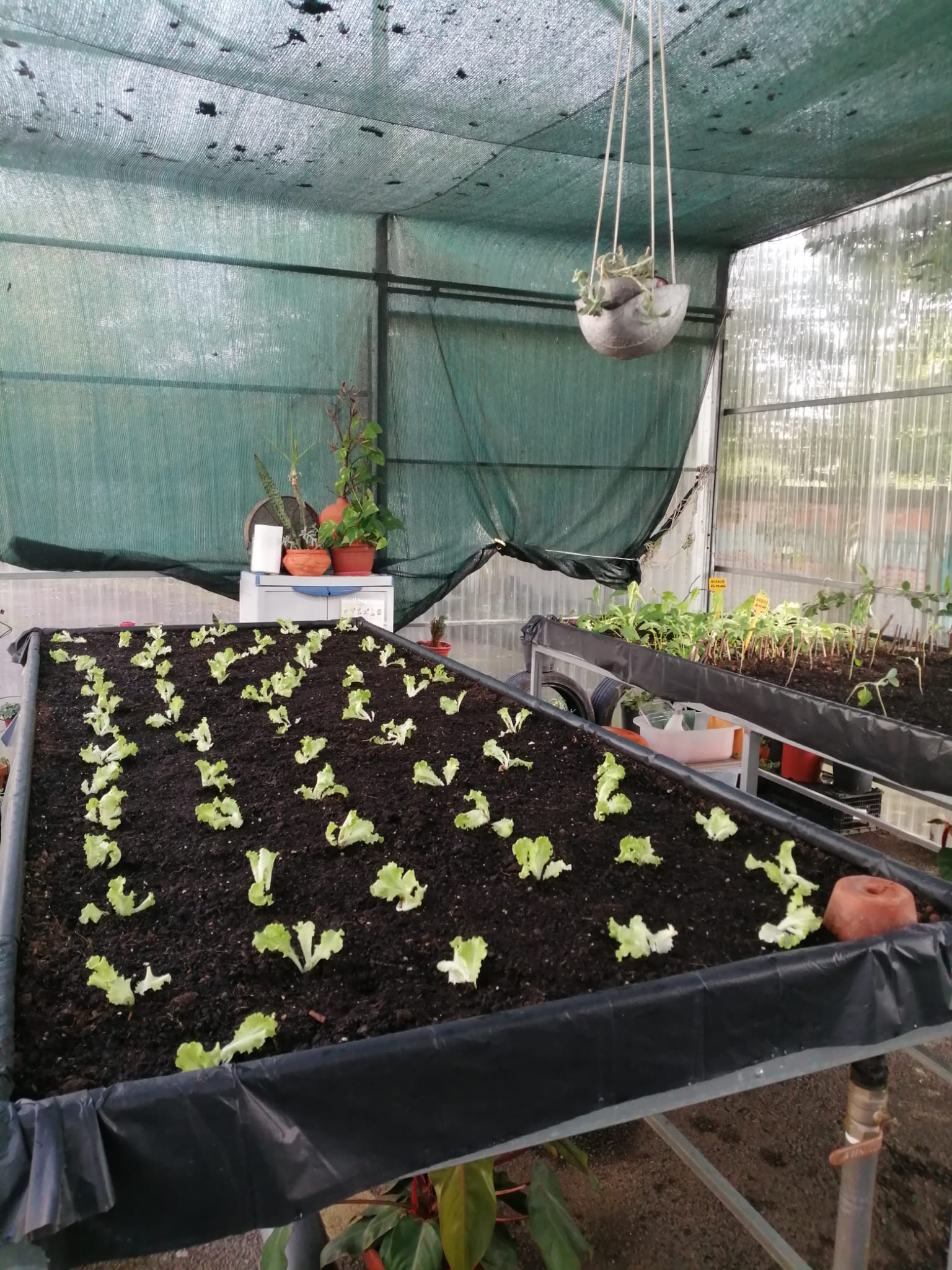 IMG-20211018-WA0004 (1)