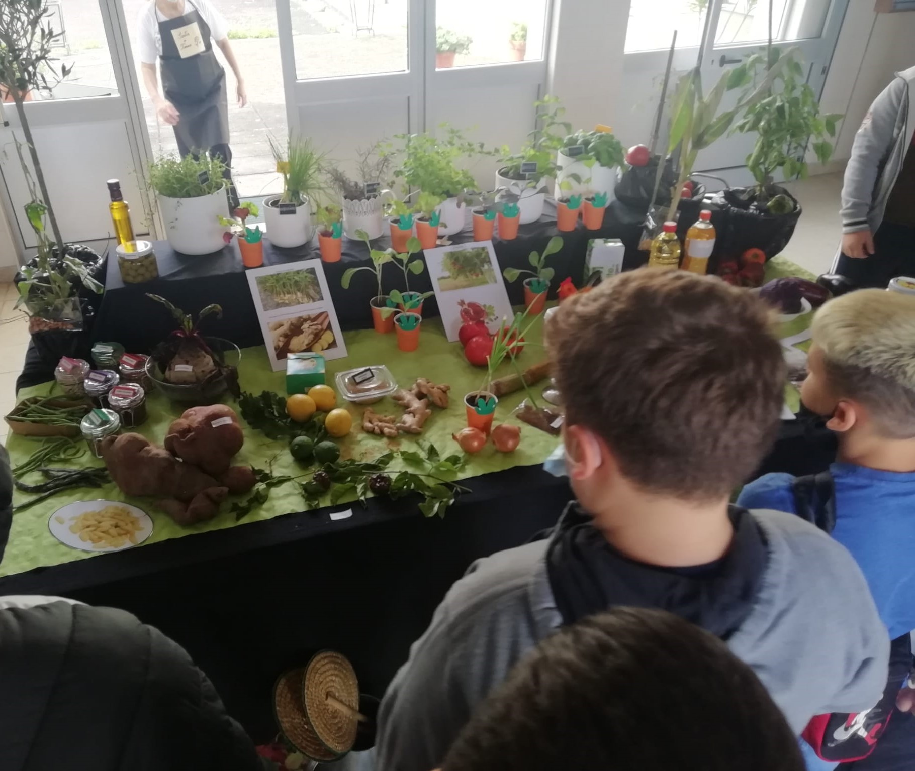 IMG-20211018-WA0034 (1)