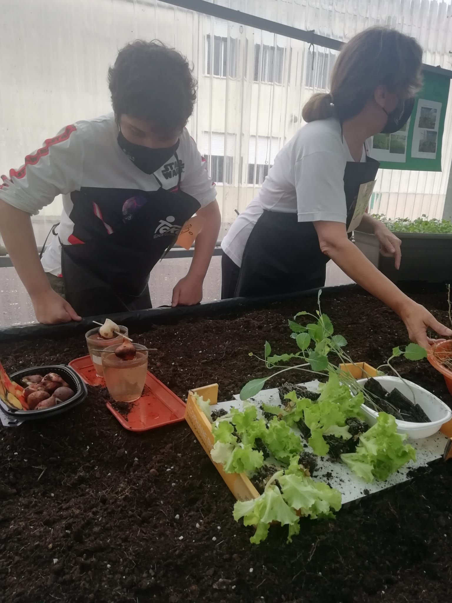 IMG-20211018-WA0039 (1)