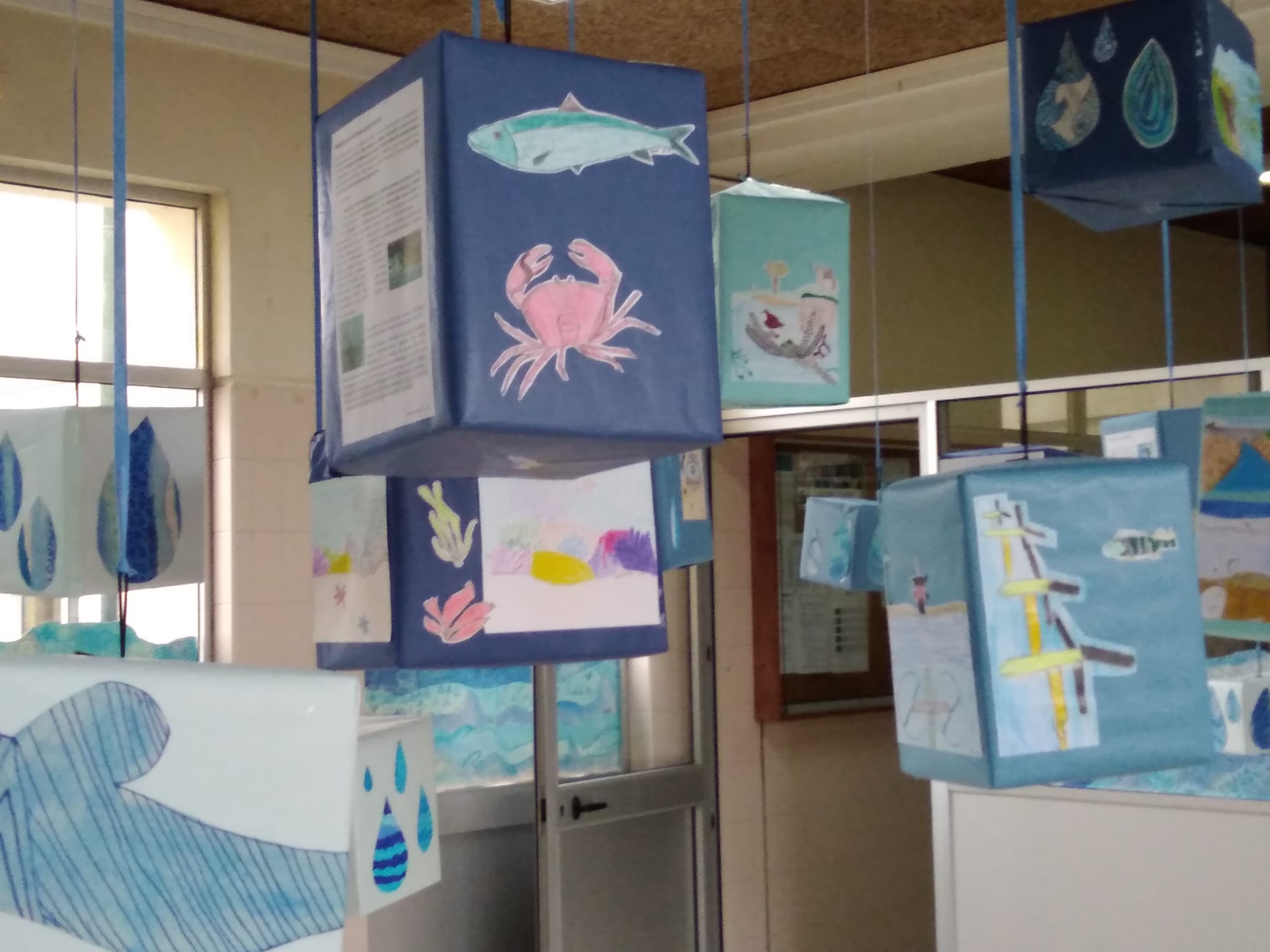 WhatsApp Image 2022-03-29 at 17.55.25 (2)