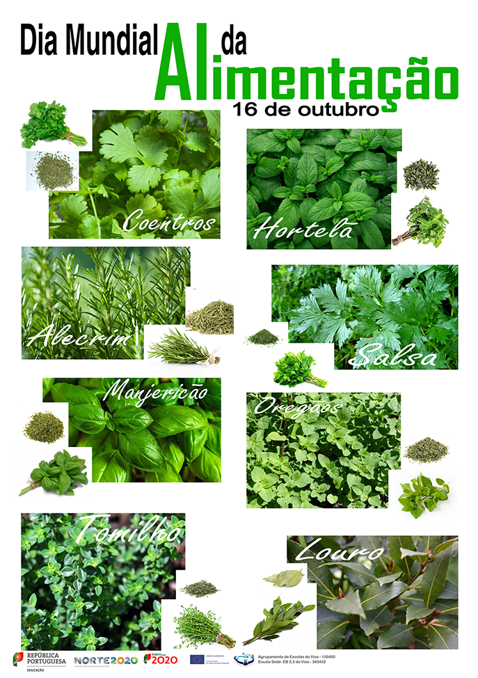 cartaz 1 Dia da Alimentação